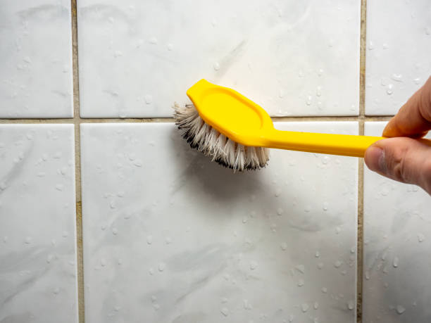 Best Best Mold Removal Companies  in Lake Wildwood, CA