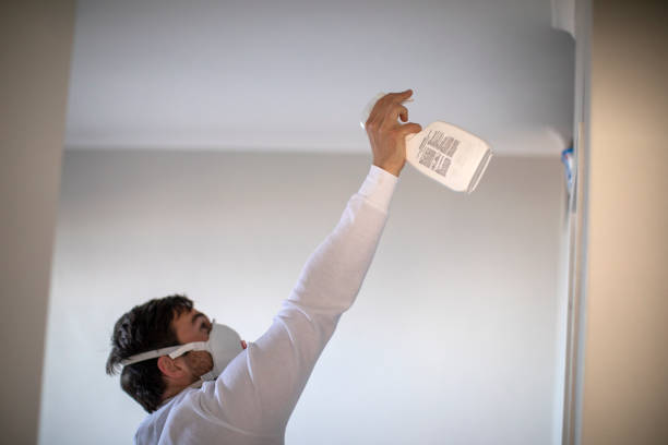 Lake Wildwood, CA Mold Removal Company