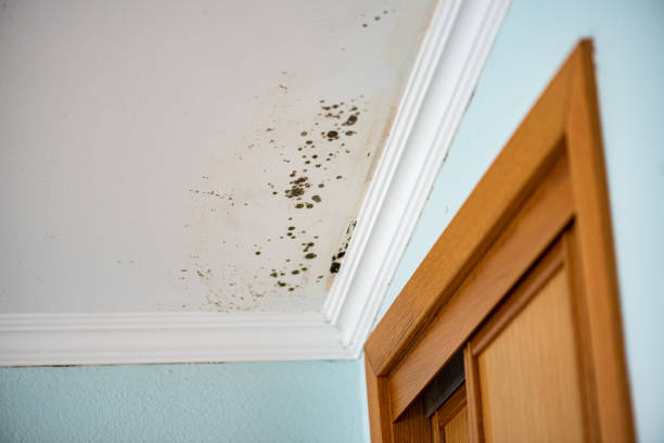 Water Damage Restoration in Lake Wildwood, CA