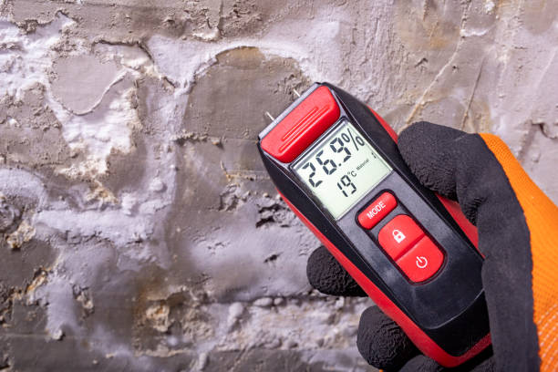 Best Attic Mold Removal  in Lake Wildwood, CA