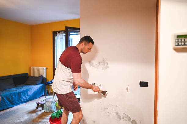 Best Toxic Mold Removal  in Lake Wildwood, CA